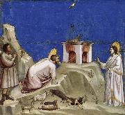 GIOTTO di Bondone Joachim-s Sacrificial Offering oil on canvas